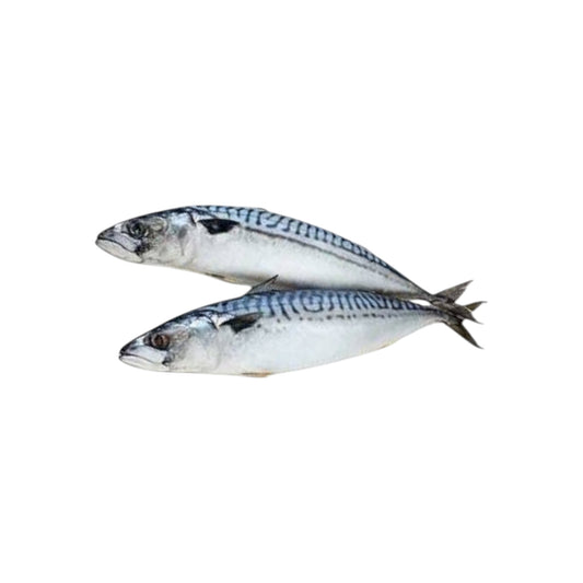 Frozen mackerel  400 /600gr/ (diepvries makreel ) 1 kg